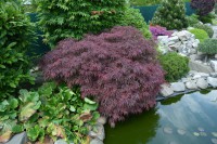 /album/fotogalerie-pr-sedlarik/dsc-0908-jpg/