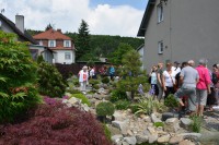 /album/fotogalerie-pr-sedlarik/dsc-0910-jpg/