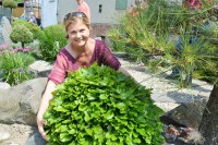 /album/fotogalerie-pr-sedlarik/dsc-0911-jpg/