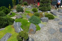 /album/fotogalerie-pr-sedlarik/dsc-0912-jpg/